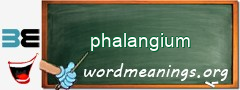 WordMeaning blackboard for phalangium